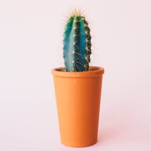 product 08